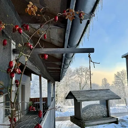 Apartment Pastelle *