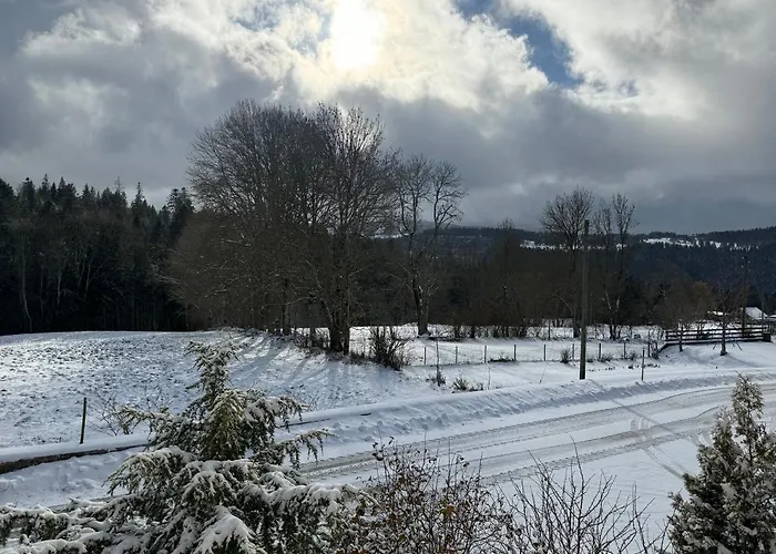 Apartment Pastelle *